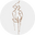 BATIK WAYANG logo